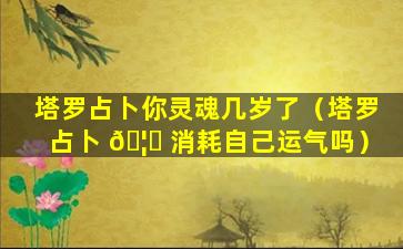 塔罗占卜你灵魂几岁了（塔罗占卜 🦋 消耗自己运气吗）